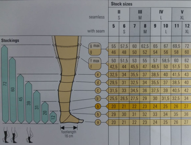 מדידת גרביים אלסטיות